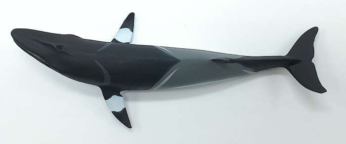 Safari Ltd. - Minke Whale #100413 - Sleek Black and Grey