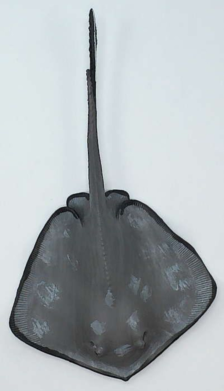 【中古】 Estratexa Manta Ray Safari Ltd. - Sting Ray #100507 - Flat Grey Coloring