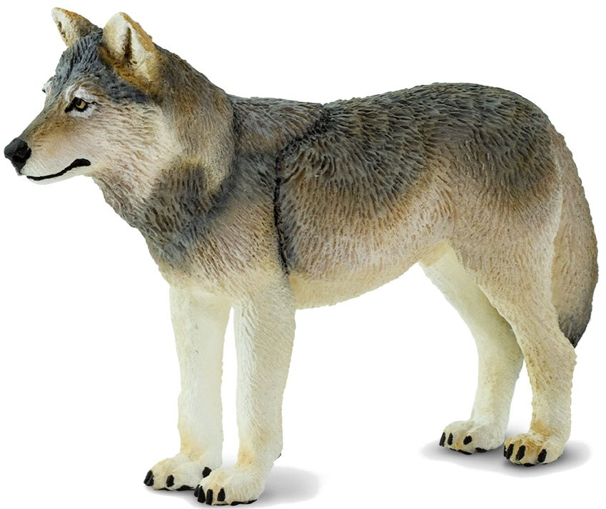 洋楽 GREY WOLVES pure hatred Ltd100 sp~ed 2LP GREY WOLVES pure hatred Ltd100 sp~ed 2LP - メルカリ