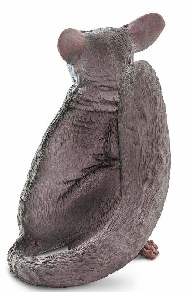 廃盤品) bruce bush baby Moholi Bushbaby | Lincoln Park Zoo