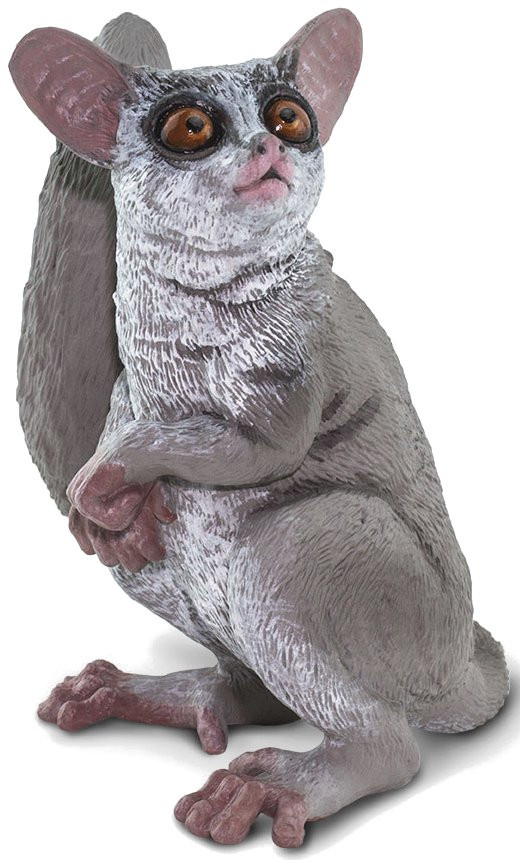 Safari Ltd. - Bush Baby #100511 - Big Oversized Eyes