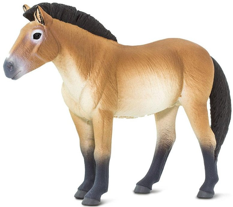 Safari Ltd. - Prezwalskis Horse #153505 - Wild Horse Figure