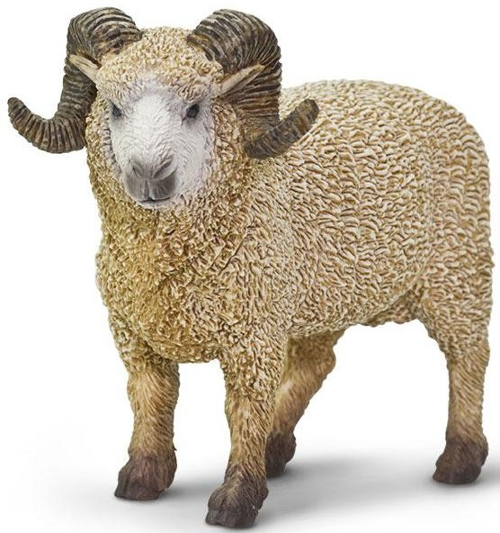 Safari Ltd. - Ram #161429 - Impressive Curly Horns