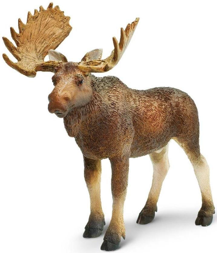 Safari Ltd. - Bull Moose #181029 - Realistic Hair Texture