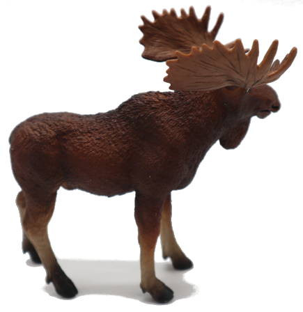 Safari Ltd. - Bull Moose #181029 - Realistic Hair Texture