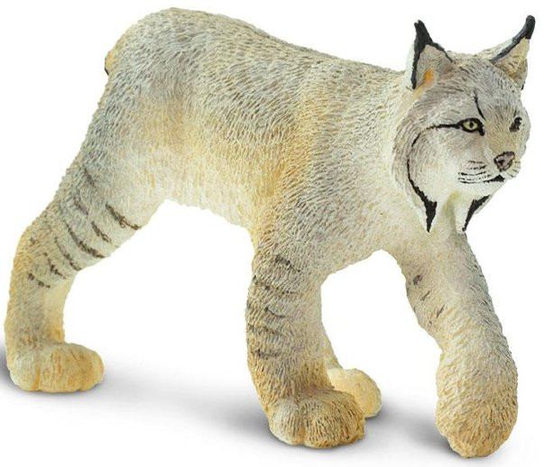 Safari Lynx #181829 Unique Short Tailed Wildcat