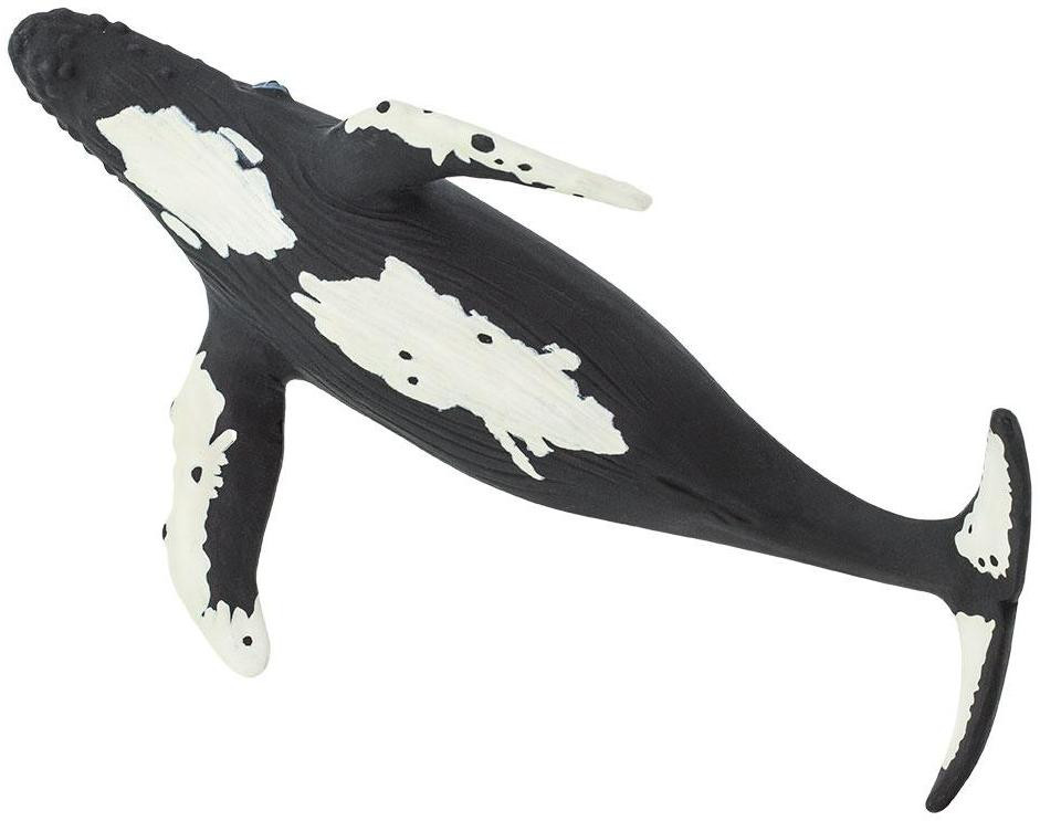 Safari Ltd. - Humpback Whale #202029 - Large Pectoral Fins