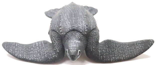 Safari Ltd - Set Di Figure Di Rane E Tartarughe - Giocattoli Per Bambini, Non Adatto A Sotto I 3 Anni