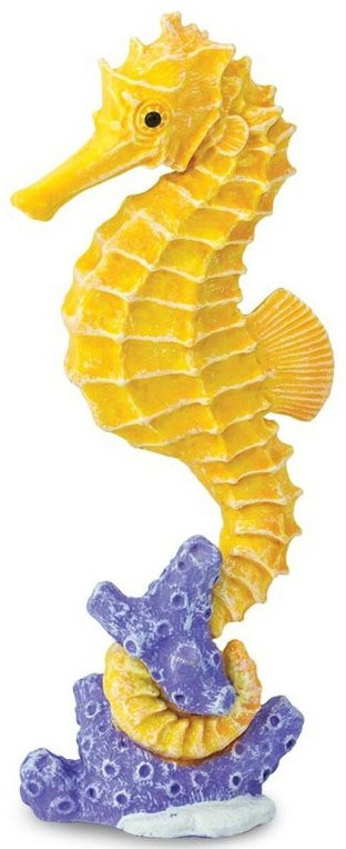 ジョングラッコー Lot JG-19 Seahorse vs Starfish WAREHOUSE ジョングラッコー ウエアハウス JG-19 Seahorse vs Starfish