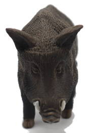 Safari Ltd. - Boar #224229 - Rought, Bristly Hair Texture