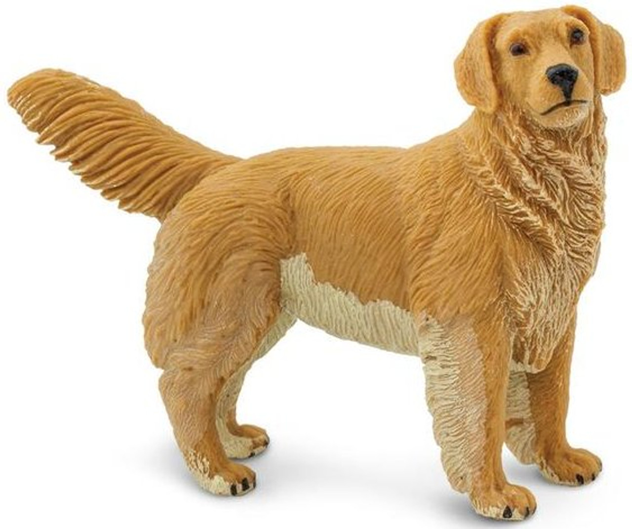 Super Furry Animals ‎ Golden Retriever Golden Retriever (2023 Remaster) - YouTube
