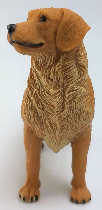 Safari Ltd - Golden Retriever #253129 - Shaggy, Best in Show