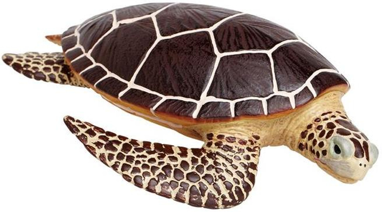 新品　CALMA STORE 38灯 Skelton Tortoise Safari Ltd. - Sea Turtle #260429 - Incredible Oversized