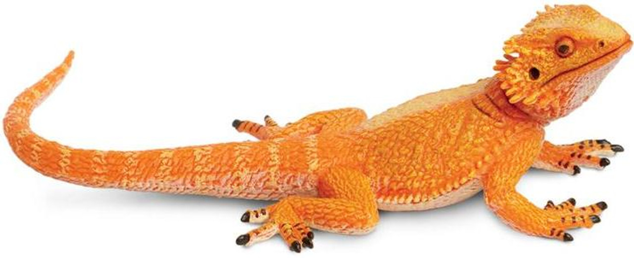 Schleich bearded clearance dragon