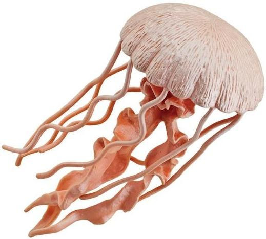 Clous Arpenteurs (têtes De Lion) En Zinc - Référence ChrisNik 25456855 - Boîte De 1 Livre (env. 0,45 Kg) - Pour Marquage Terrain