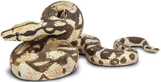 Safari Ltd. - Boa Constrictor #266529 - Incredible Creatures