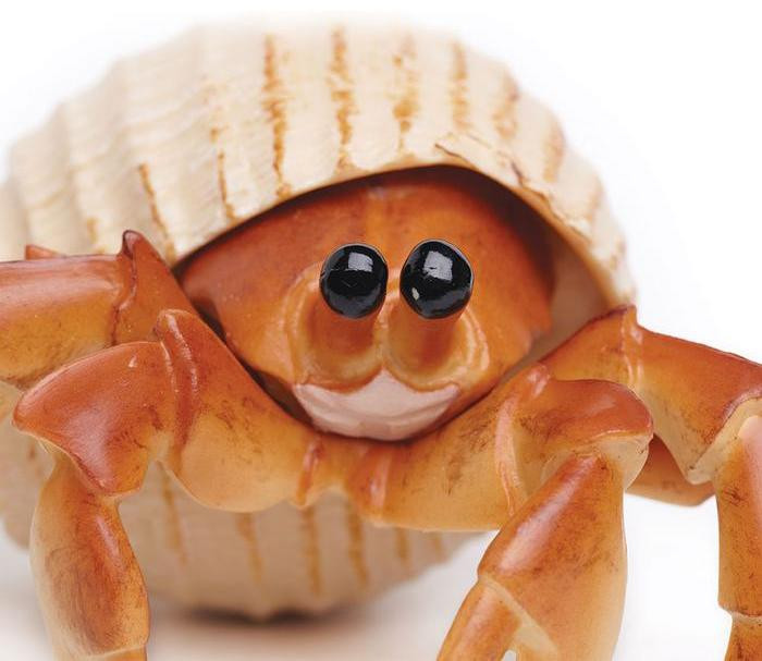 Safari Ltd. - Hermit Crab #267529 - Oversized Creature