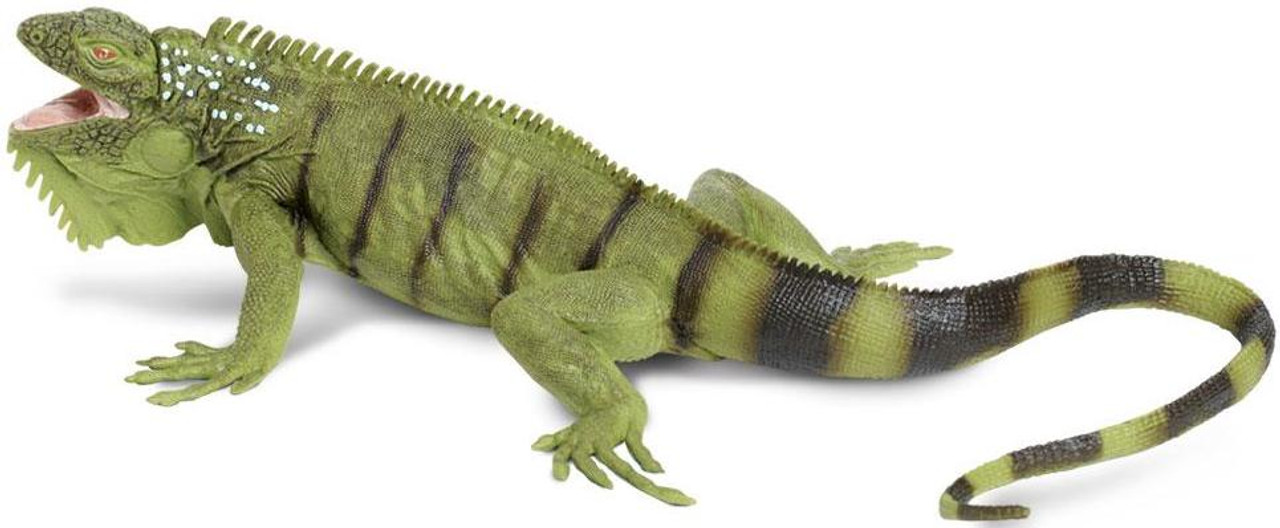 Safari Iguana by Safari 267729 Incredible Creatures