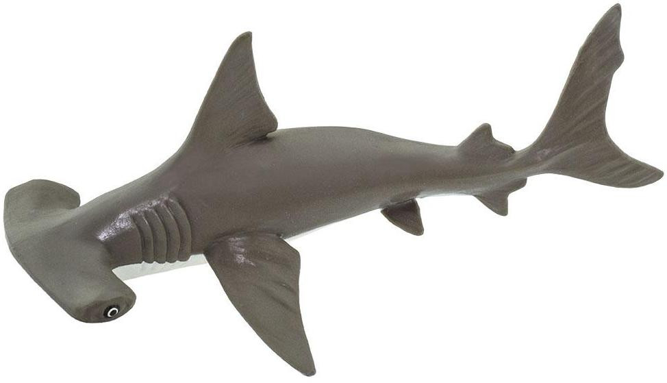 Safari Ltd. Hammerhead Shark Baby #267929 - Baby Shark