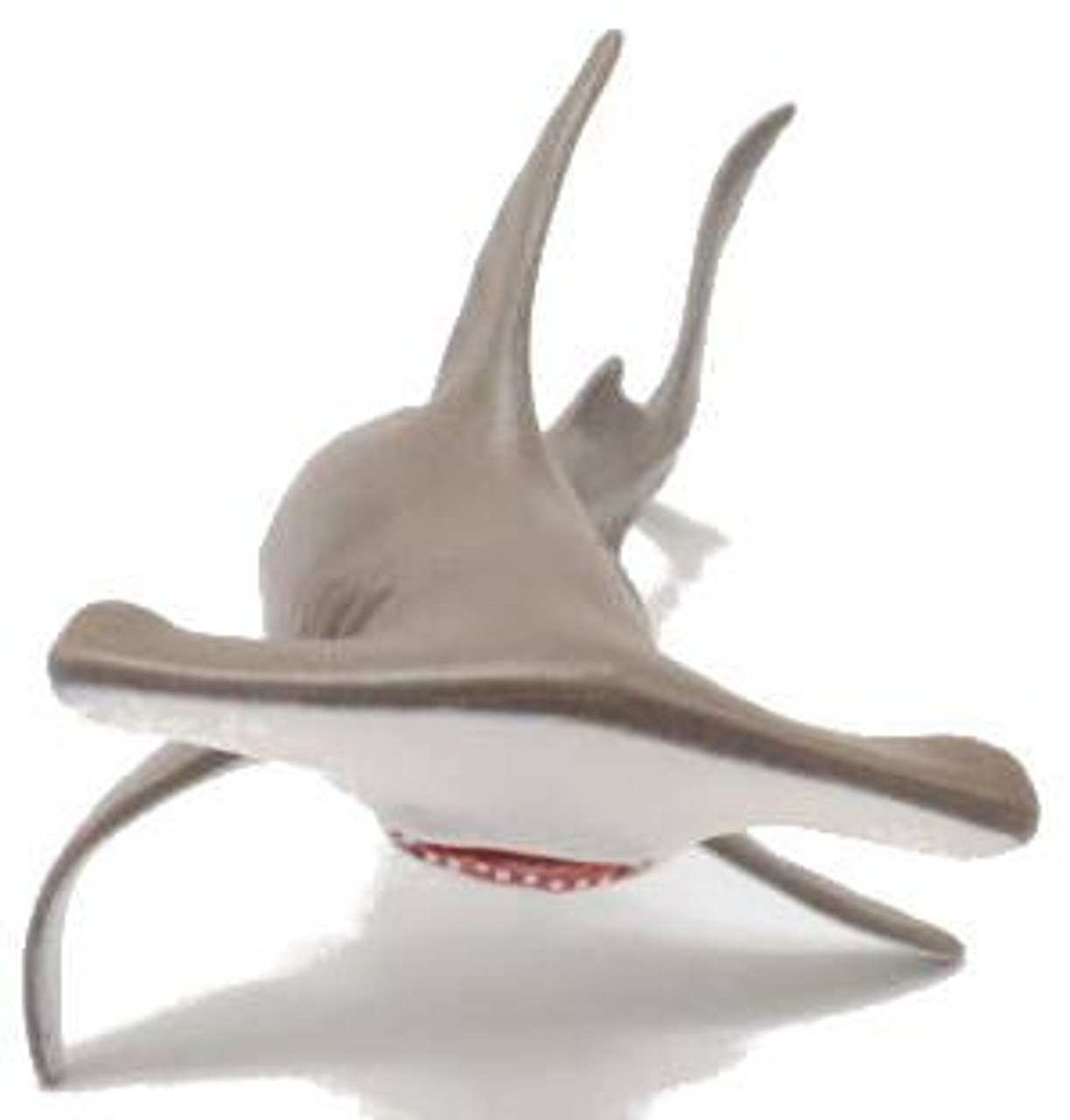 Safari Ltd. Hammerhead Shark Baby #267929 - Baby Shark