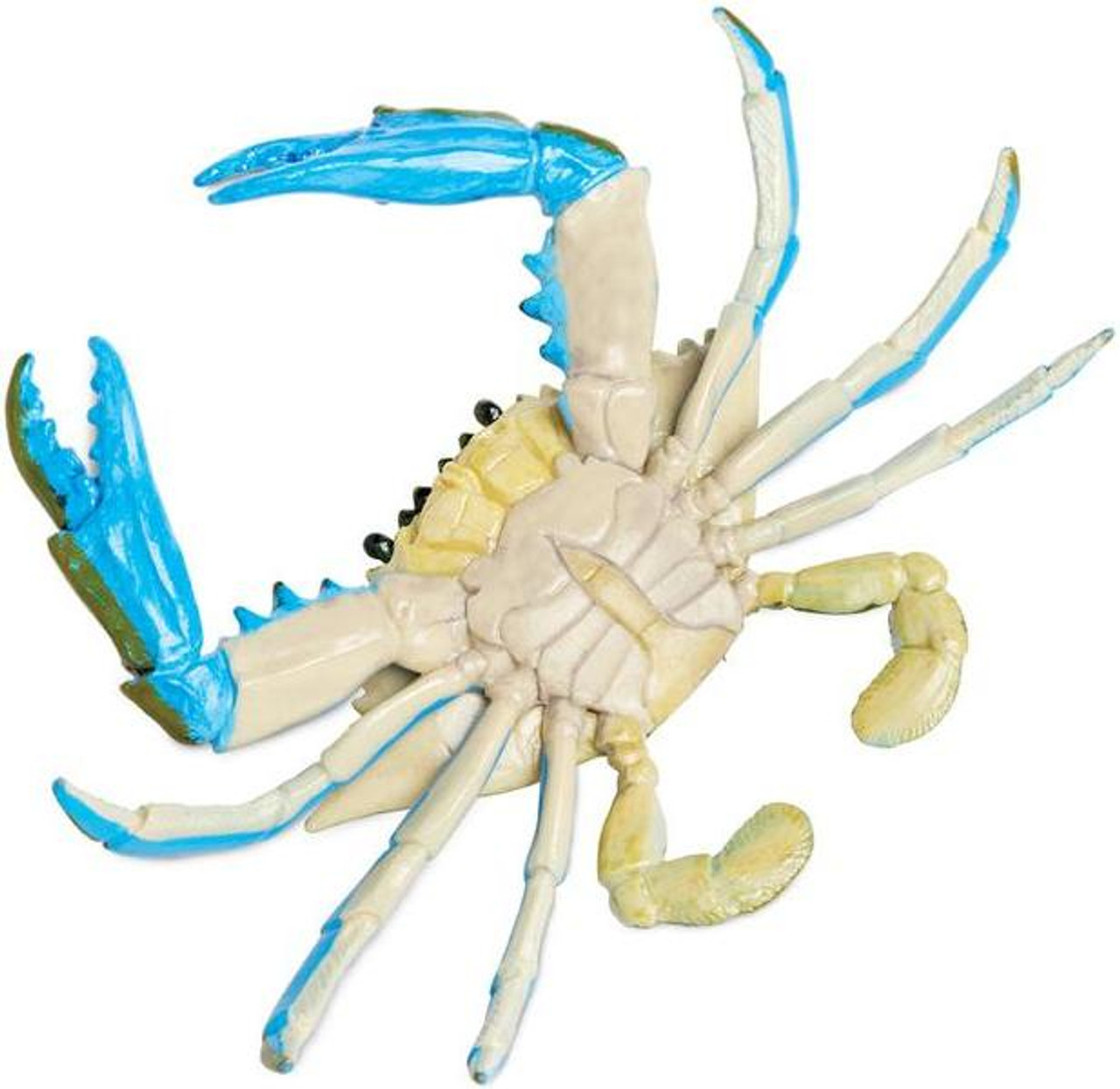 Safari Ltd. - Blue Crab by Safari 269729 - Incredible Creatures