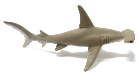 Safari Ltd. - Hammerhead Shark #274829 - Sea Life Collection