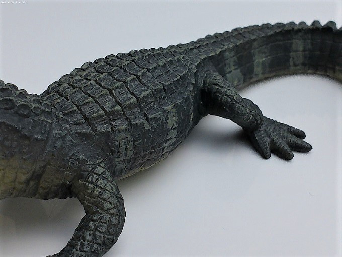 Safari Ltd. Wildlife - Alligator by Safari Ltd. 276429