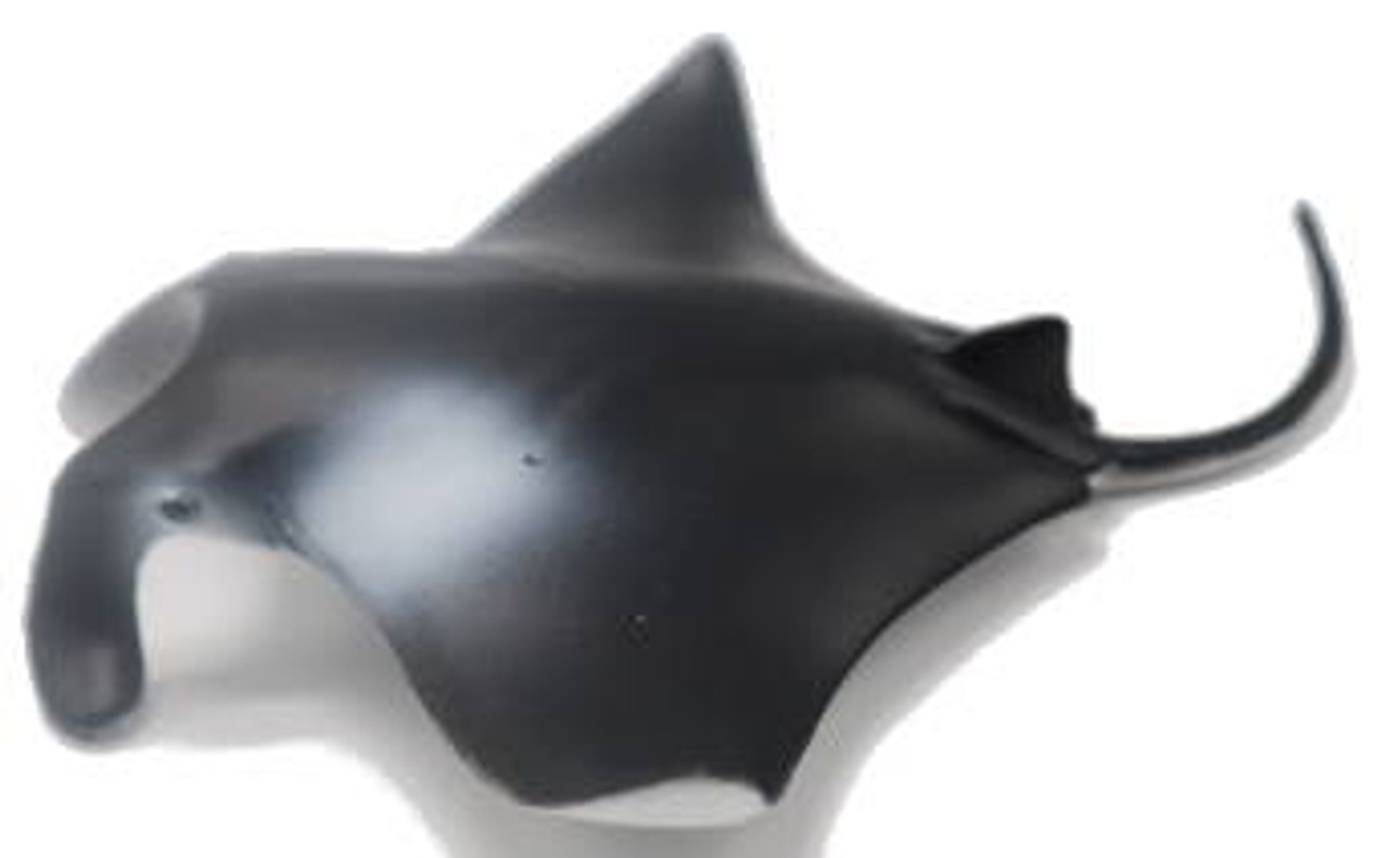 【JOLYN】 MANTA RAY(PRINTS)(2505) /追跡付 collecta-88040-manta-ray-