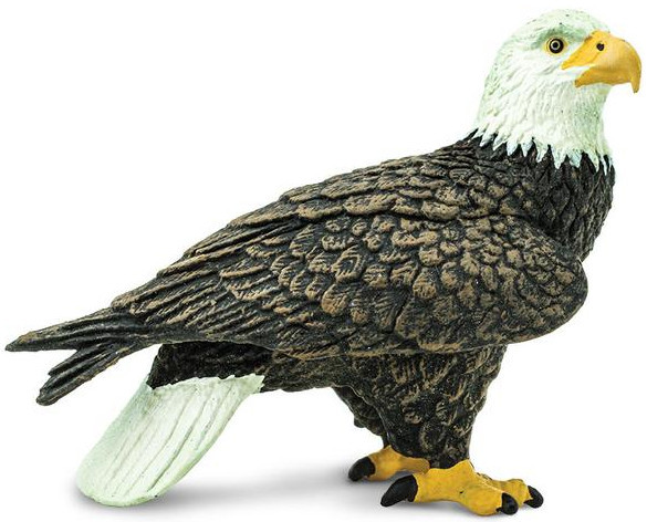 Safari Ltd. - Wings of the World - Bald Eagle by Safari291129