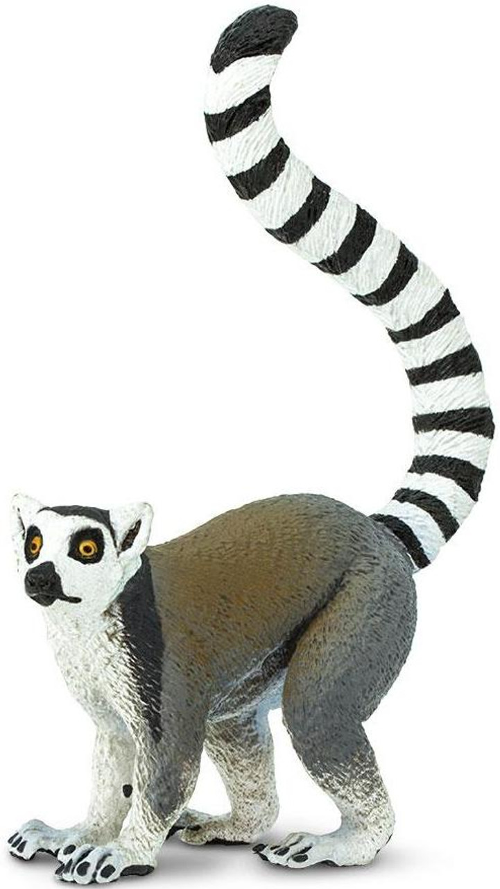 Bless international Ring-Tailed Lemur Mother With Baby Clinging To Her  Back, Vulnerable, Berenty Private Reserve, Madagascar Framed On Framed  Canvas Print | Wayfair