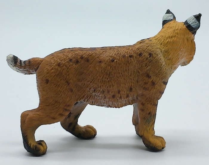 Safari Ltd Wild North American Wildlife – Bobcat Figur, Handbemalt, Ca. 7,6 Cm Lang, Realistisches Spielzeug