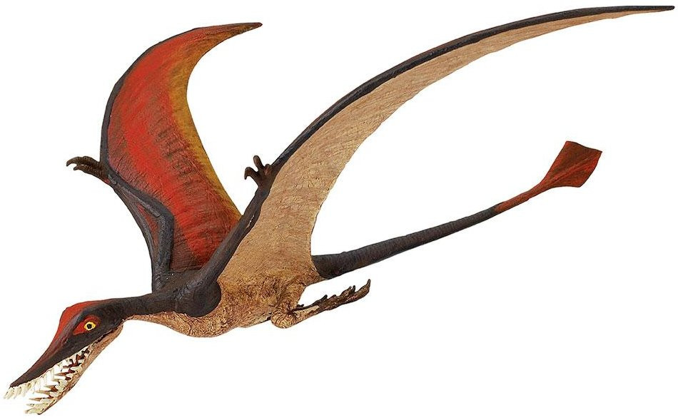 Safari Ltd. Rhamphorhynchus 300329 - Awesome Flying Dinosaur