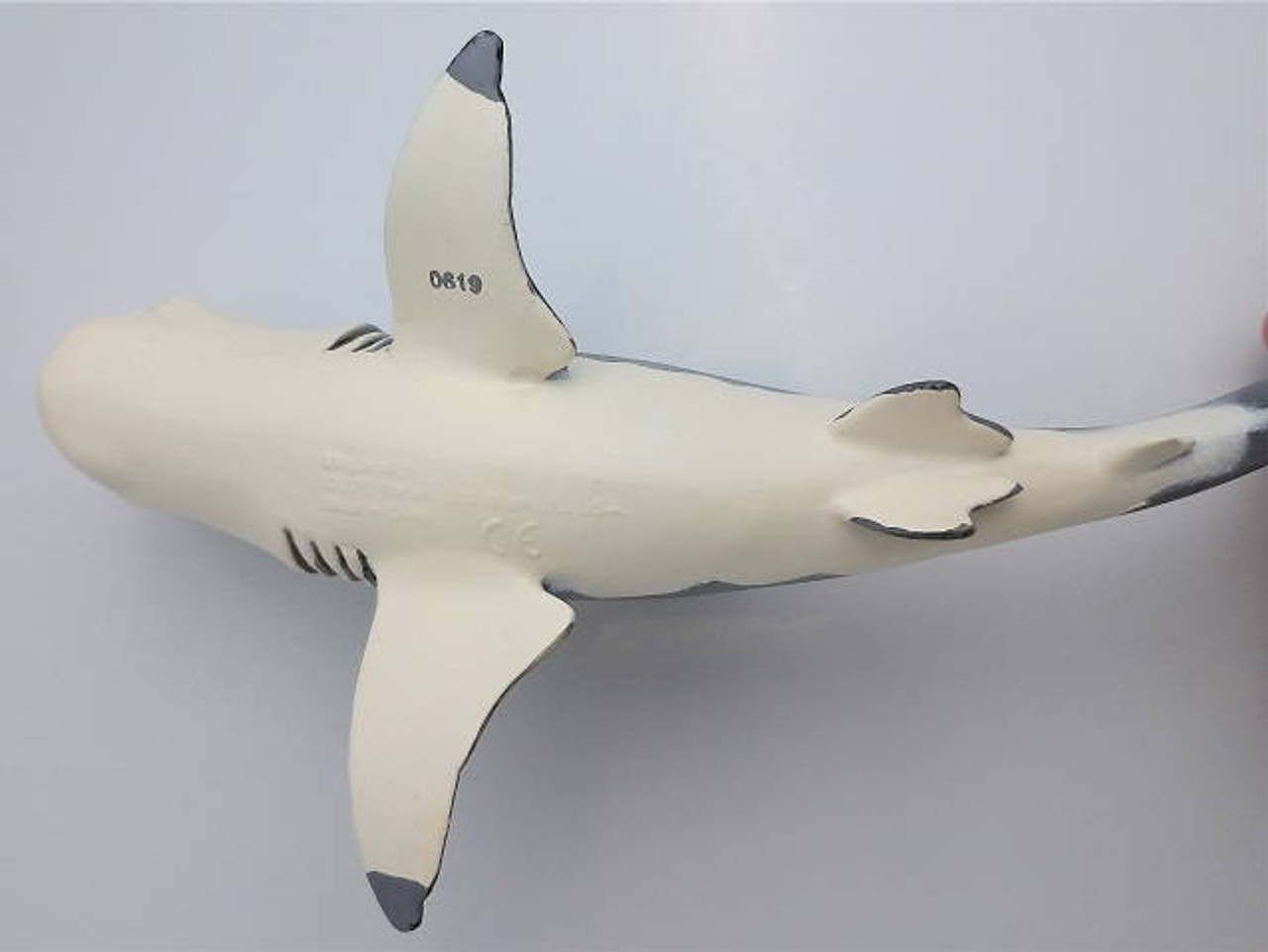 Safari  Wild Safari Dinosaurs ( ワイルド サファリ ダイナソーズ ) メガロドン 303329 Amazon.com: Safari Ltd. Megalodon Figurine - Detailed 7.25