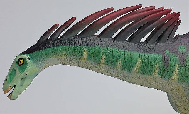 Safari LTD Amargasaurus - Jeux & Jouets