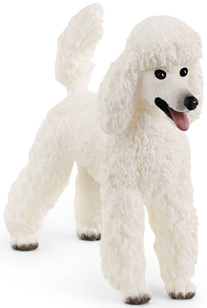 poodle様 Schleich Poodle #13917 - Puffy white curly haired dog