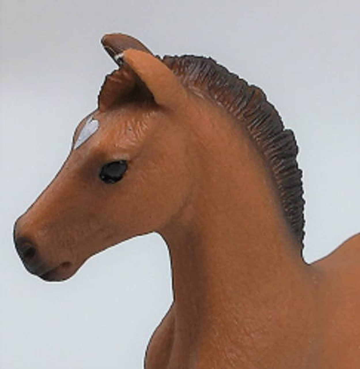 Schleich Oldenburger Foal #13947 - Awarded best foal of 2022