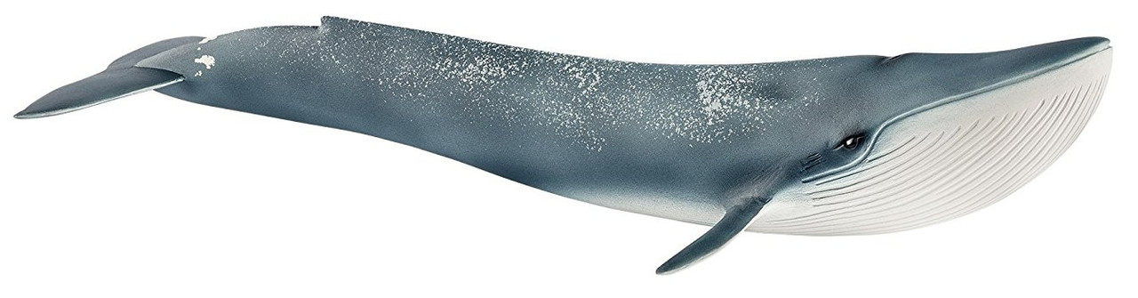 Schleich Blue Whale 14806 - Largest Animal that ever existed