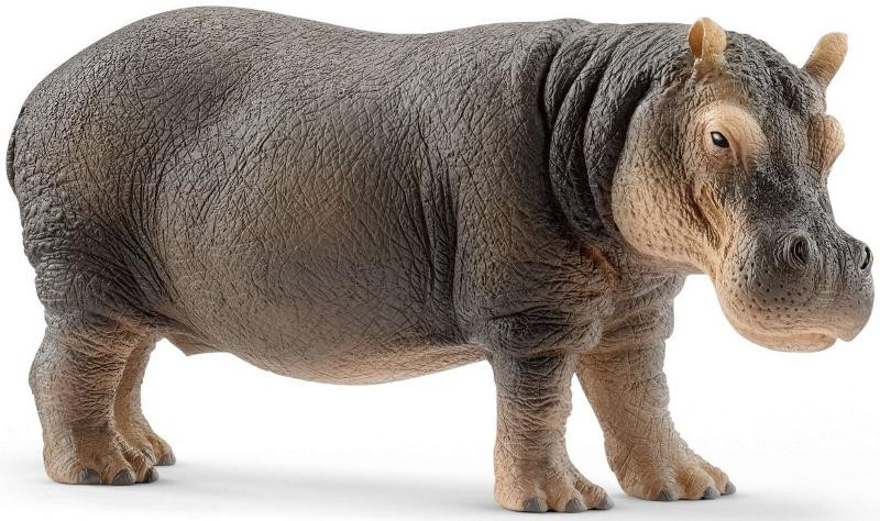 hippo.tamas Amazon.com: Safari Ltd. Hippopotamus Figurine - Lifelike, Hand
