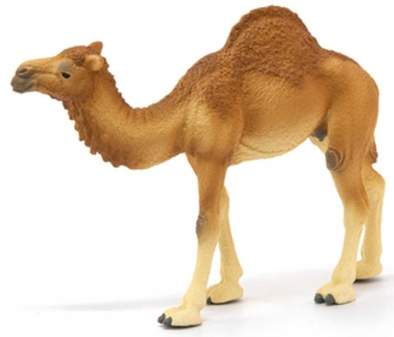 Schleich Dromedary Camel #14832 - Docile beast of the desert