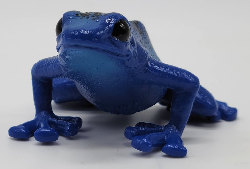 Schleich Blue Poison Dart Frog 14864 - Non Toxic Toy Version