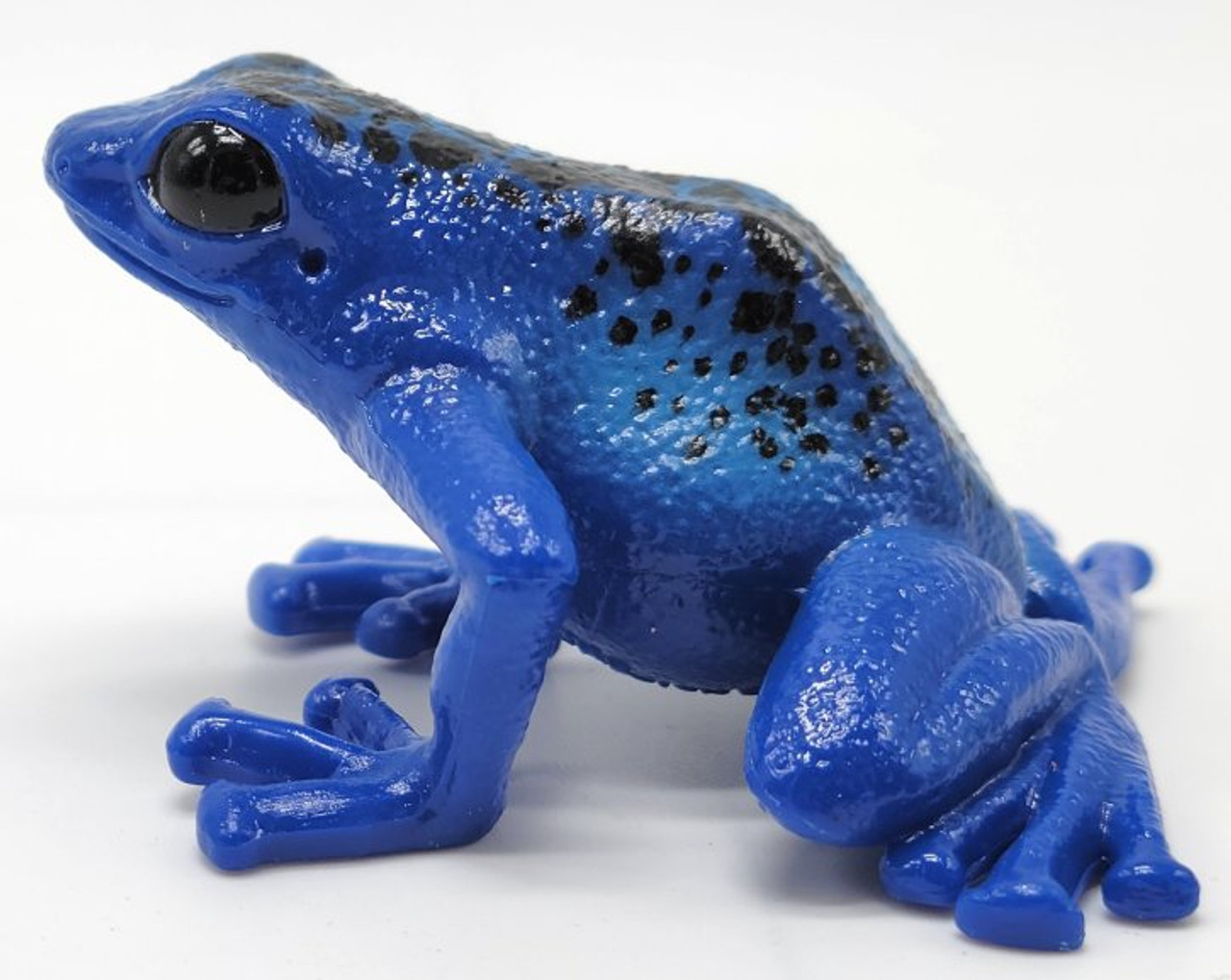 PlayStation - missouri-frog mqdefault.jpg