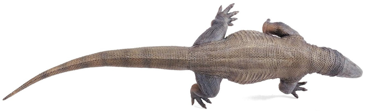 Komodo Komodo Reptile Scales - Mypetworld