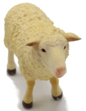 CollectA Farm Animals - Sheep #88008 - Cute Pinkish Nose