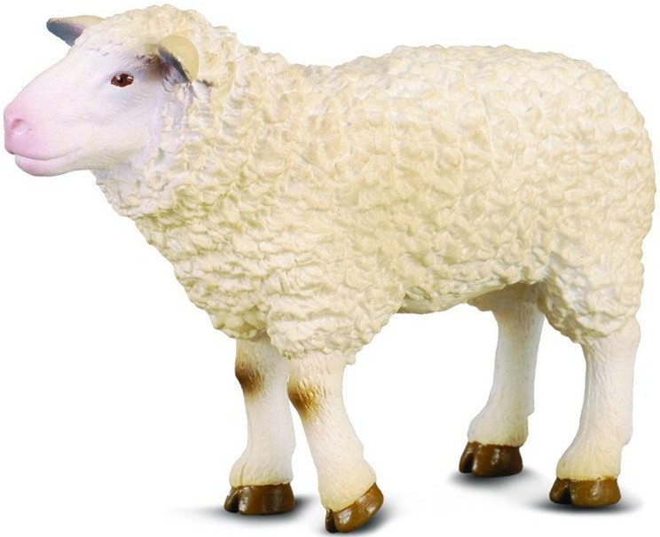 【sheep♪】 CollectA Farm Animals - Sheep #88008 - Cute Pinkish Nose