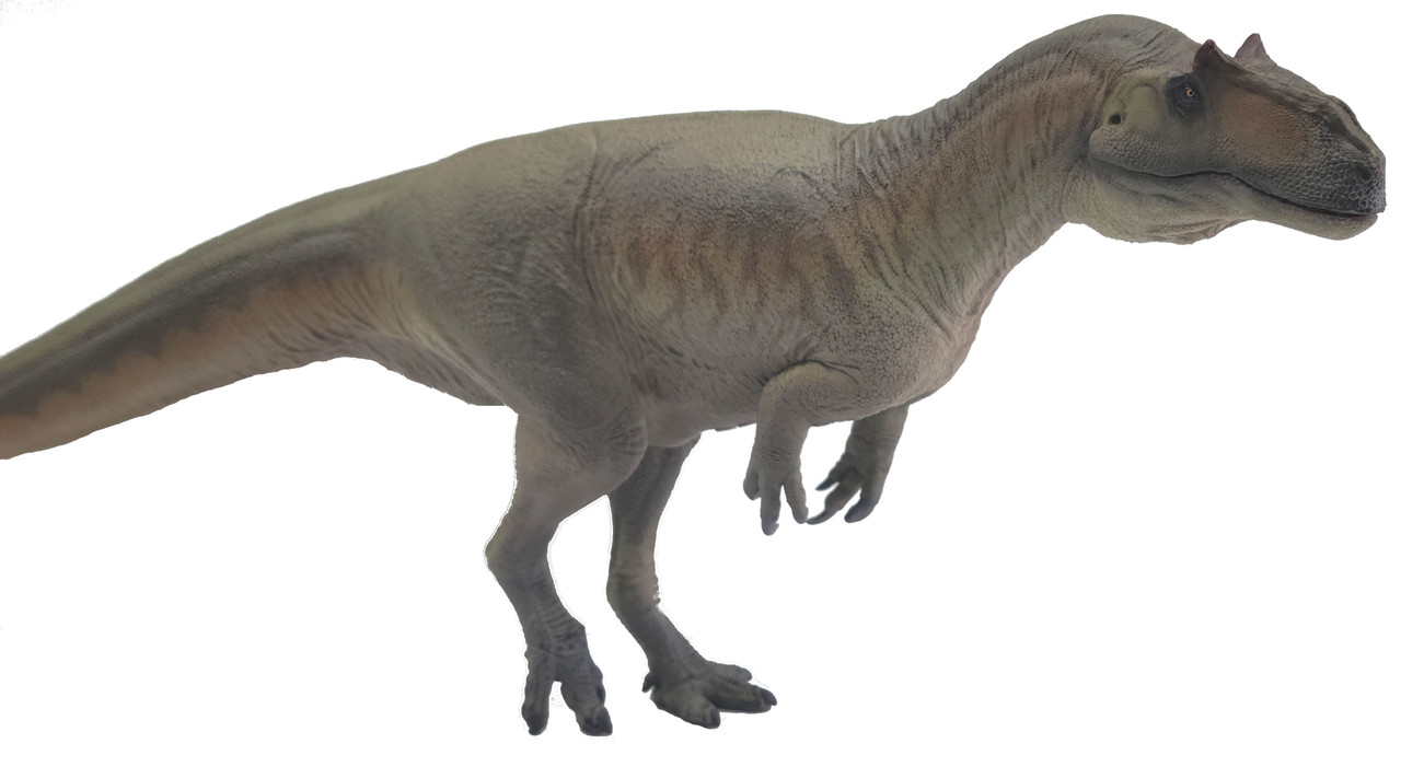 Saurophaganax - Donald (PNSO)