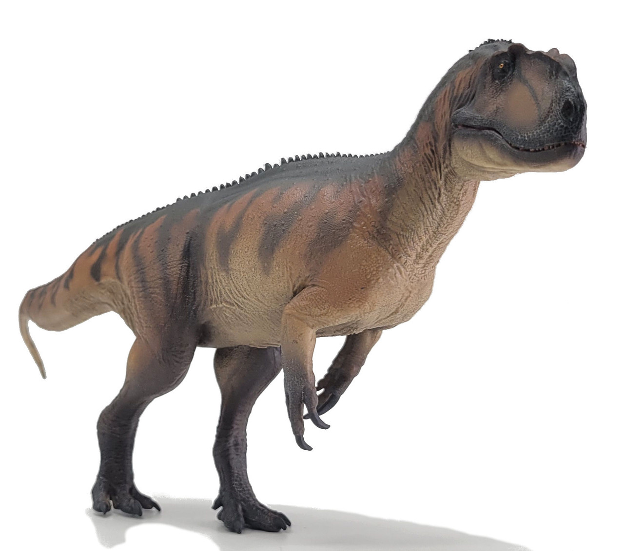 zzYangchuanosaurus Magnus - Dapeng (PNSO)