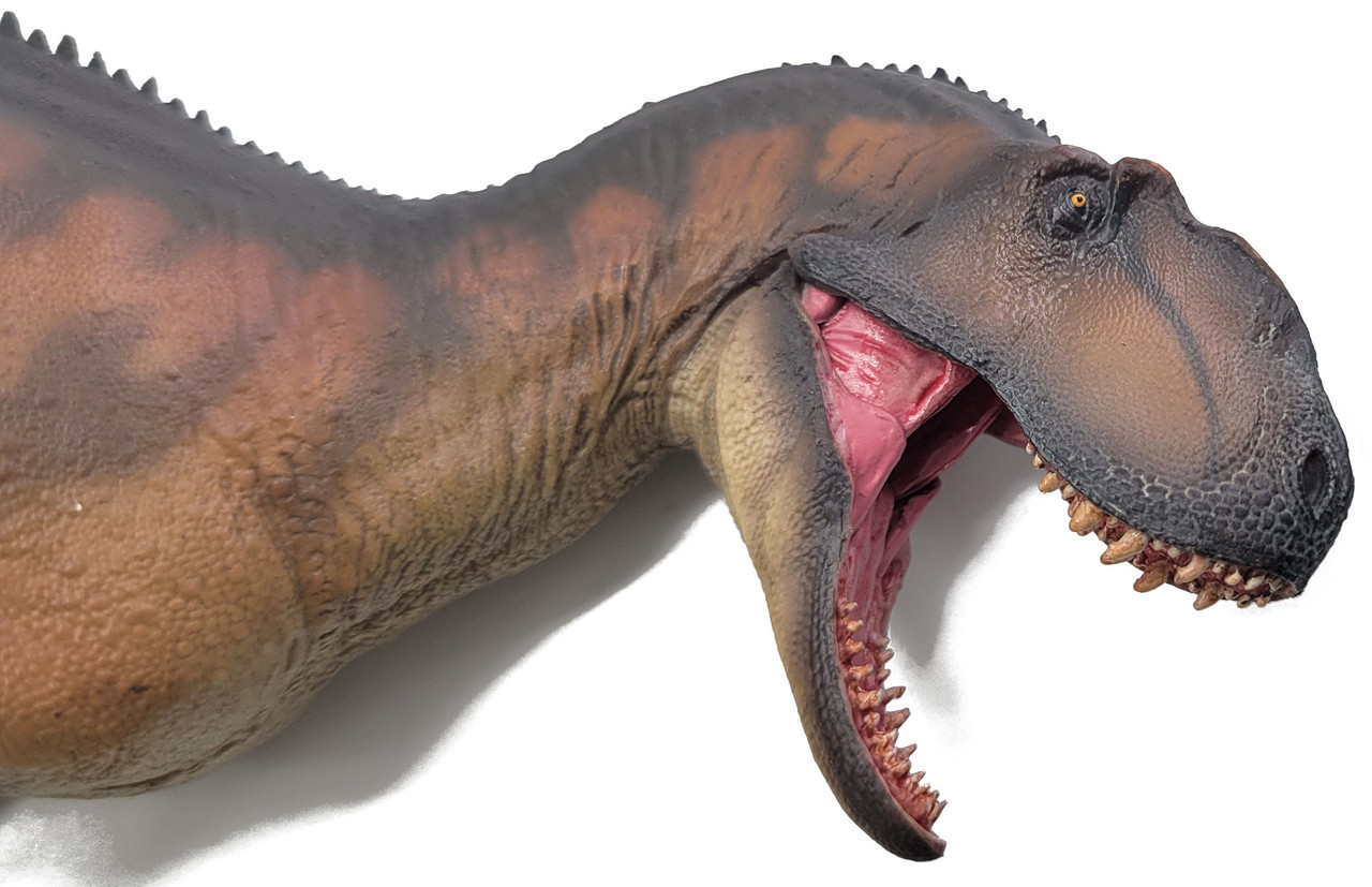 zzYangchuanosaurus Magnus - Dapeng (PNSO)