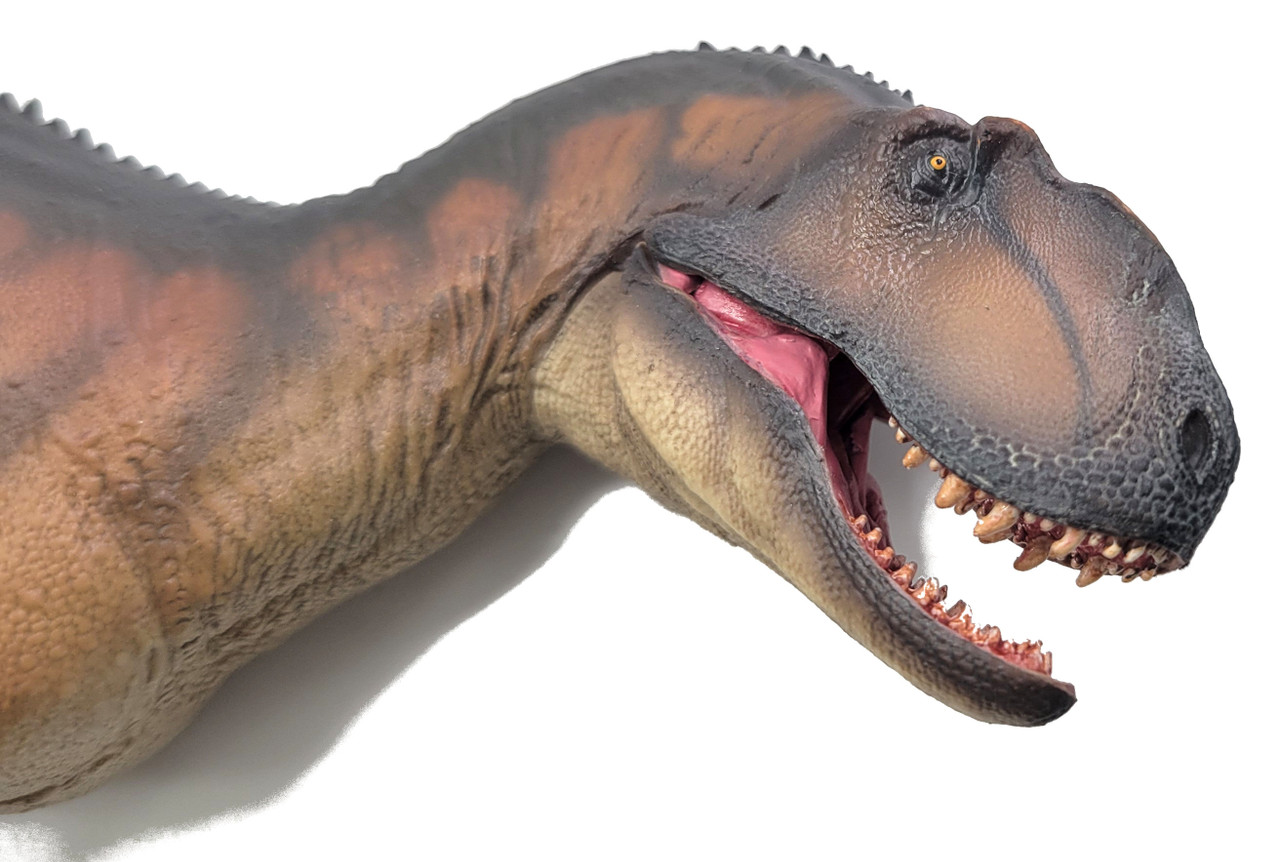 zzYangchuanosaurus Magnus - Dapeng (PNSO)