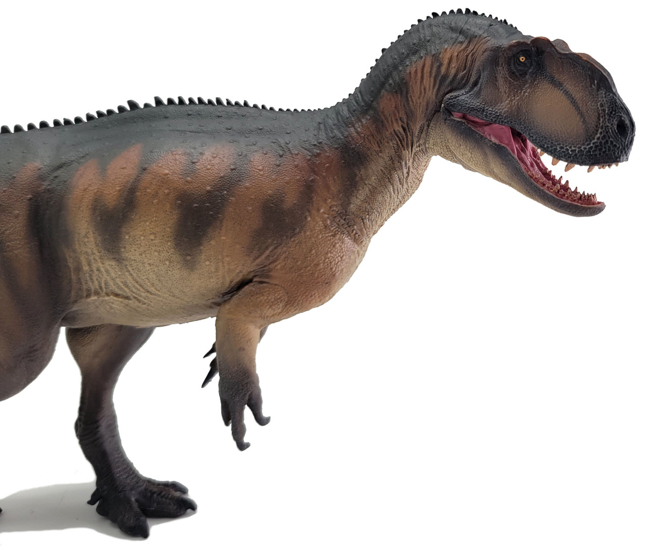 zzYangchuanosaurus Magnus - Dapeng (PNSO)
