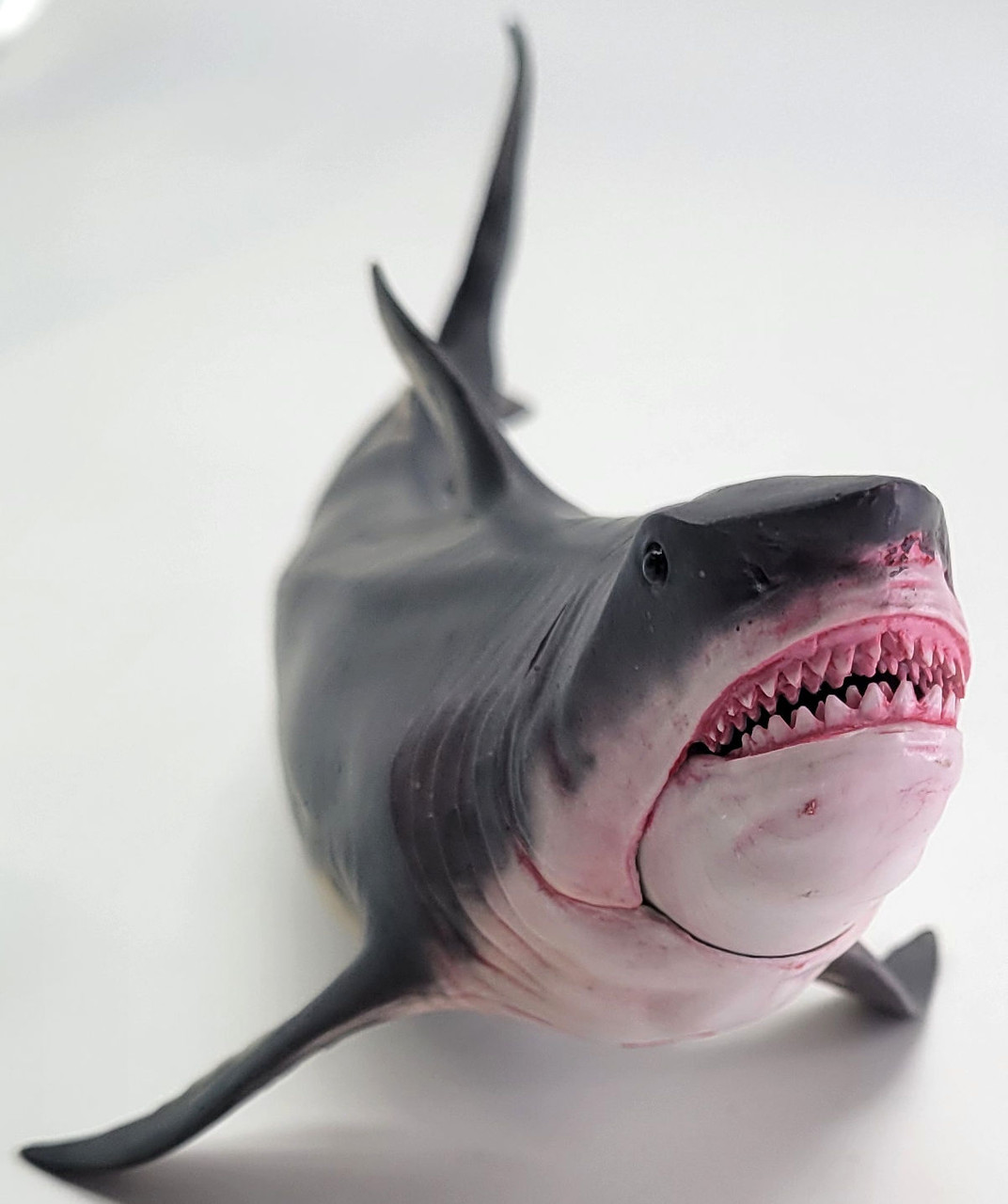 ディスプレイ・モニター本体 Otodus.megalodon Megalodon otodus - Li jun (Haolonggood)